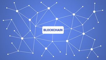 乐鱼（LEYU）体育-英超青训采用虚拟现实技术强化战术理解与应变能力，英超试训