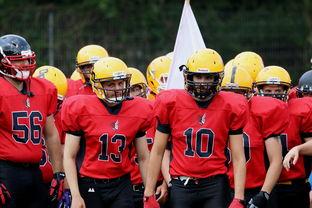 乐鱼vip-球员伤病防护不足，球员伤病对球员的影响